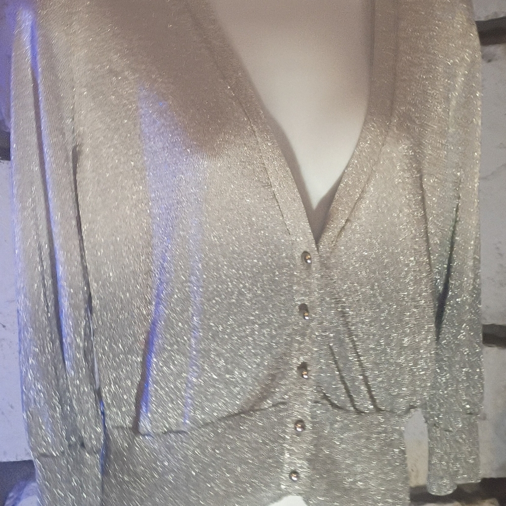 Shimmering Silver Cardigan